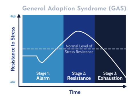 General Adaption Syndrome - Matt Hudson