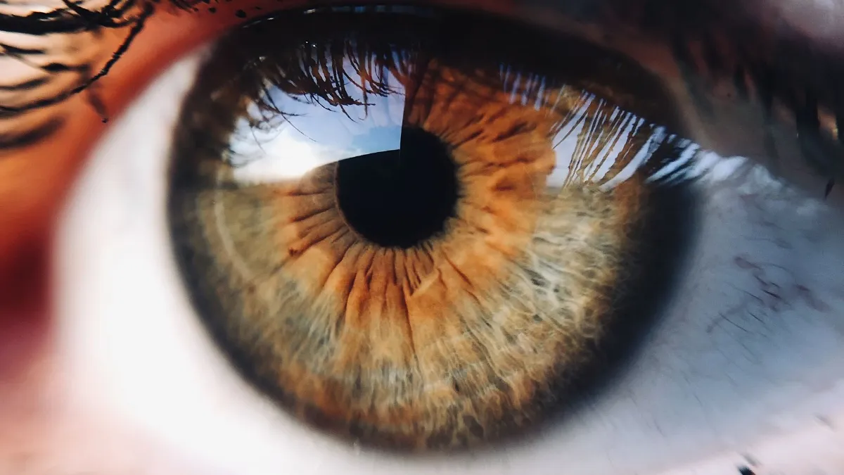 Close-up of a hazel human eye, illustrating eye movements and Emotional Memory Images